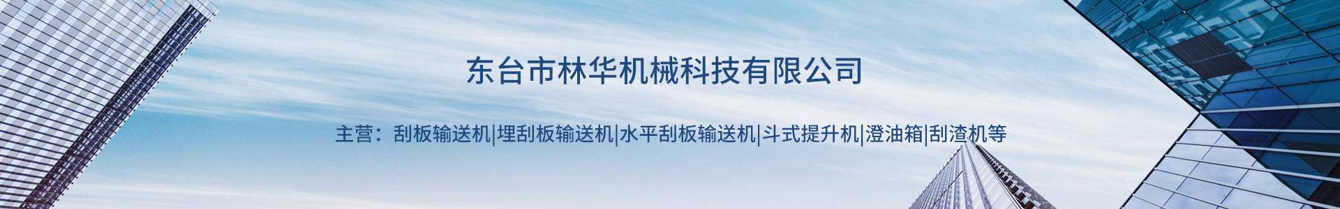 刮板乐玩web版登录入口,乐玩web版登录入口厂家,刮板链条,乐玩web版登录入口